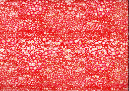 友禅　0320　コスモス柄　赤