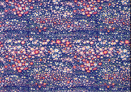 友禅　0321　コスモス柄　紺