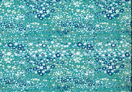 友禅　0323　コスモス柄　水