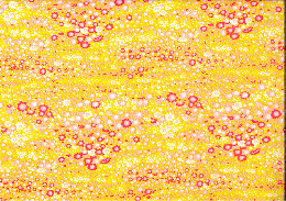 友禅　0322　コスモス柄　黄