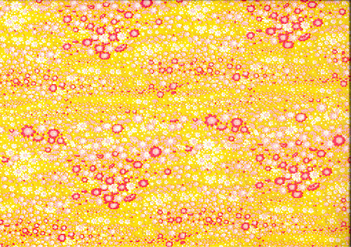 友禅　0322　コスモス柄　黄