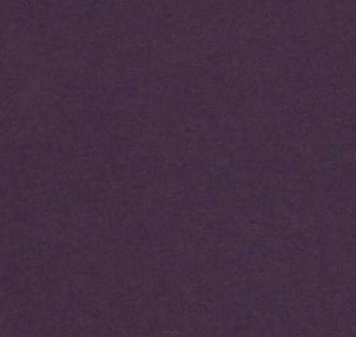 楮161　紫