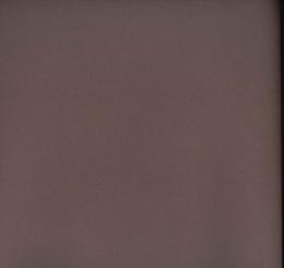 楮174　ひわだ色